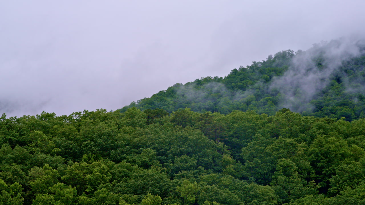 Cinematic drone floating across foggy horizons of the Smokies.