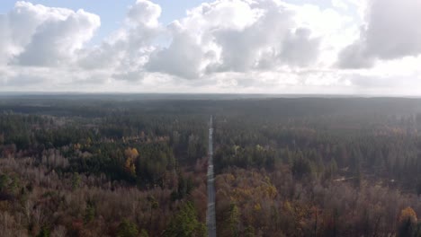 aerial autumn view over a wide forest with a straight street with driving cars