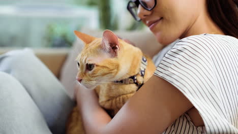 woman petting a cat