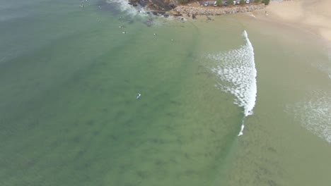 ocean waves splashing on lush green headland