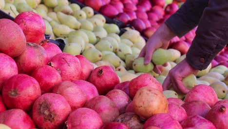 shopping fruit in greengrocer 4