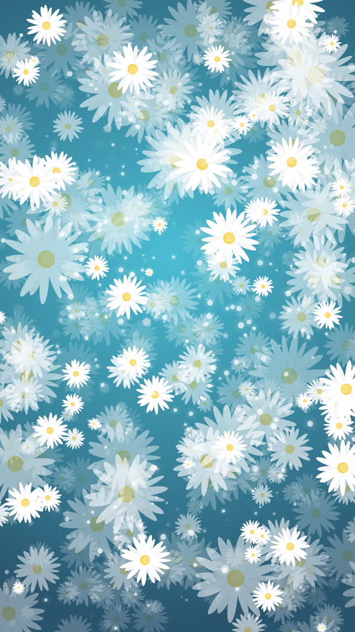 Chamomile flowers with white petals. Summer plants rotate, appear and disappear. Seamless turquoise background. Abstract motion graphics. Looped vertical video.