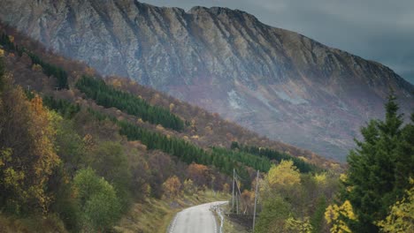 a narrow road goes through the colorful autumn landscape