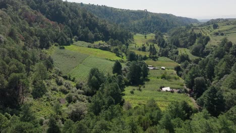 Aerial-swooping-descending-over-farmland-fields-at-forest-base-of-puebla-mexico