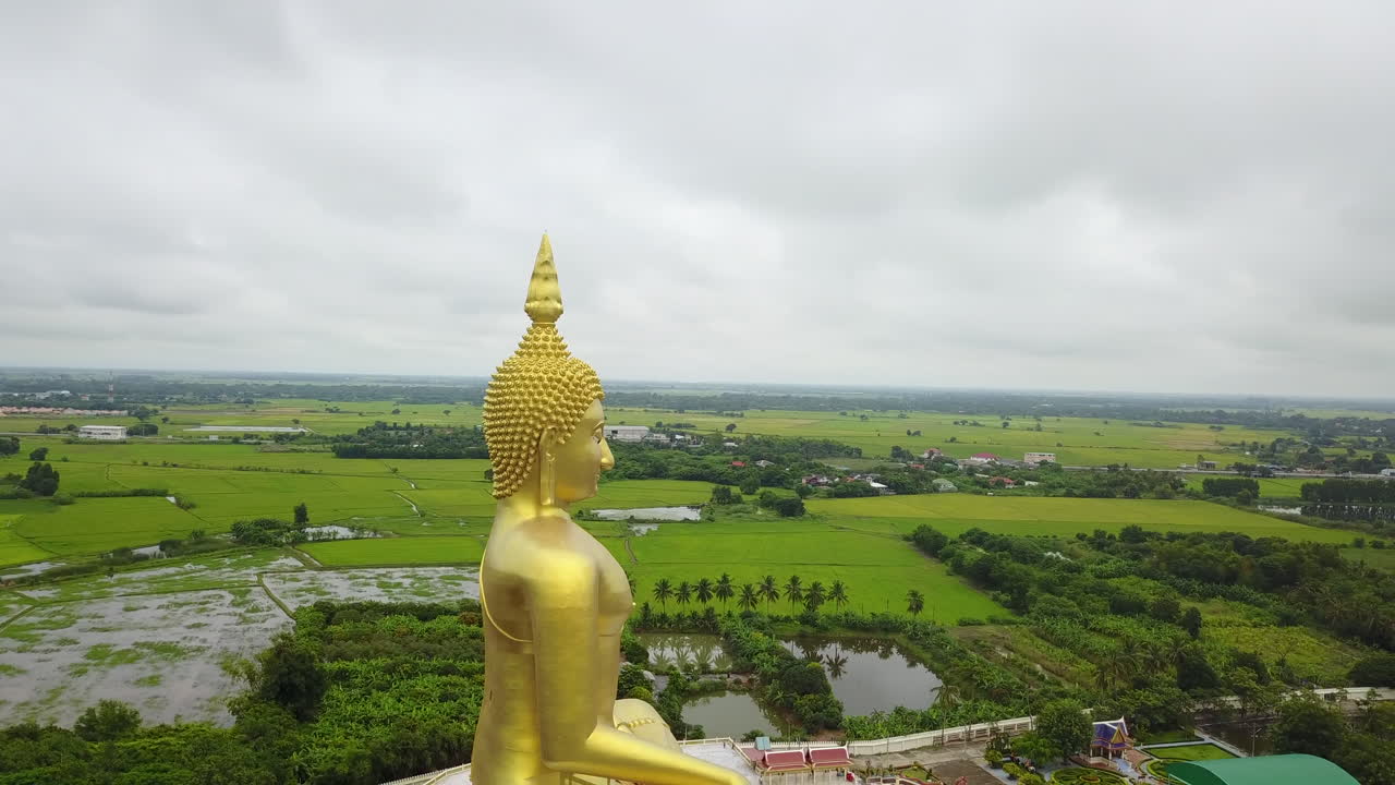 Aerial view of Wat Muang golden Buddha amidst lush green fields