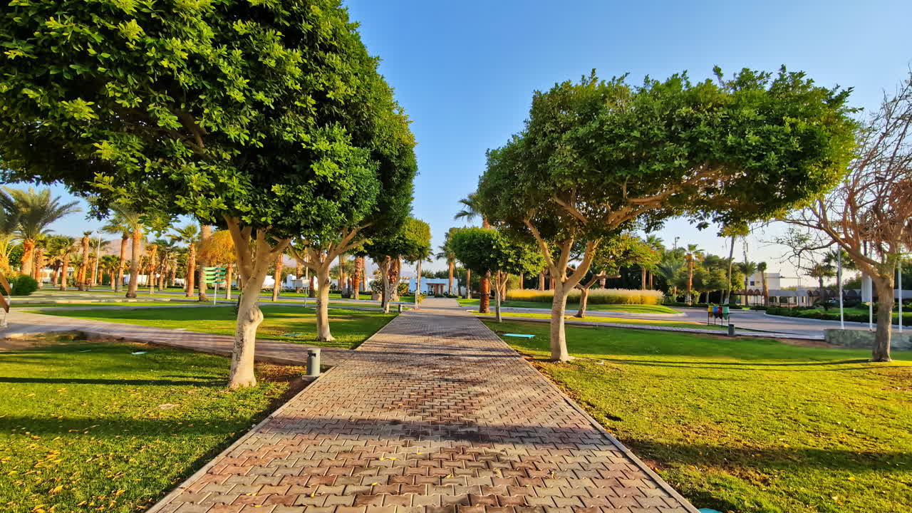 Featuring of concrete pathway winding through lush green park with mature trees on either side in Egypt during .