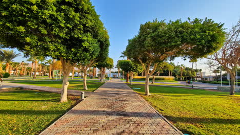 featuring of concrete pathway winding through lush green park with mature trees on either side in egypt during .