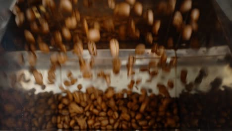 coffee beans processing