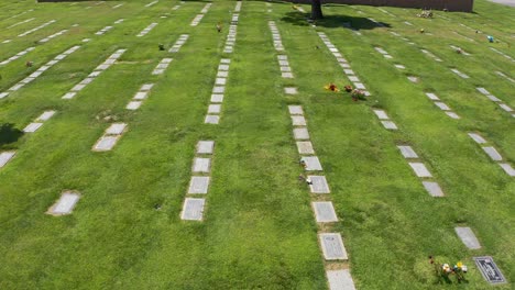 low aerial shot flying over a burial lawn with rows of headstones decorated by flowers at a california mortuary