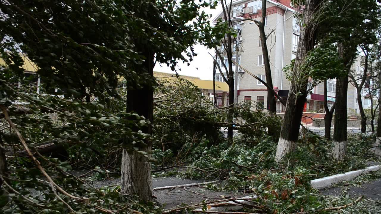 The camera is in a hurricane zone. The filled-up streets trees