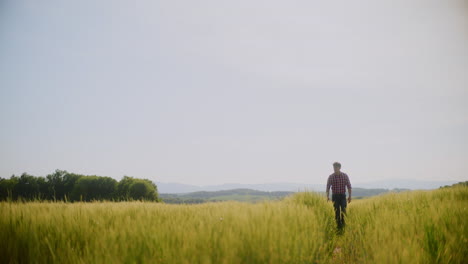 farmer walking through a wheat field