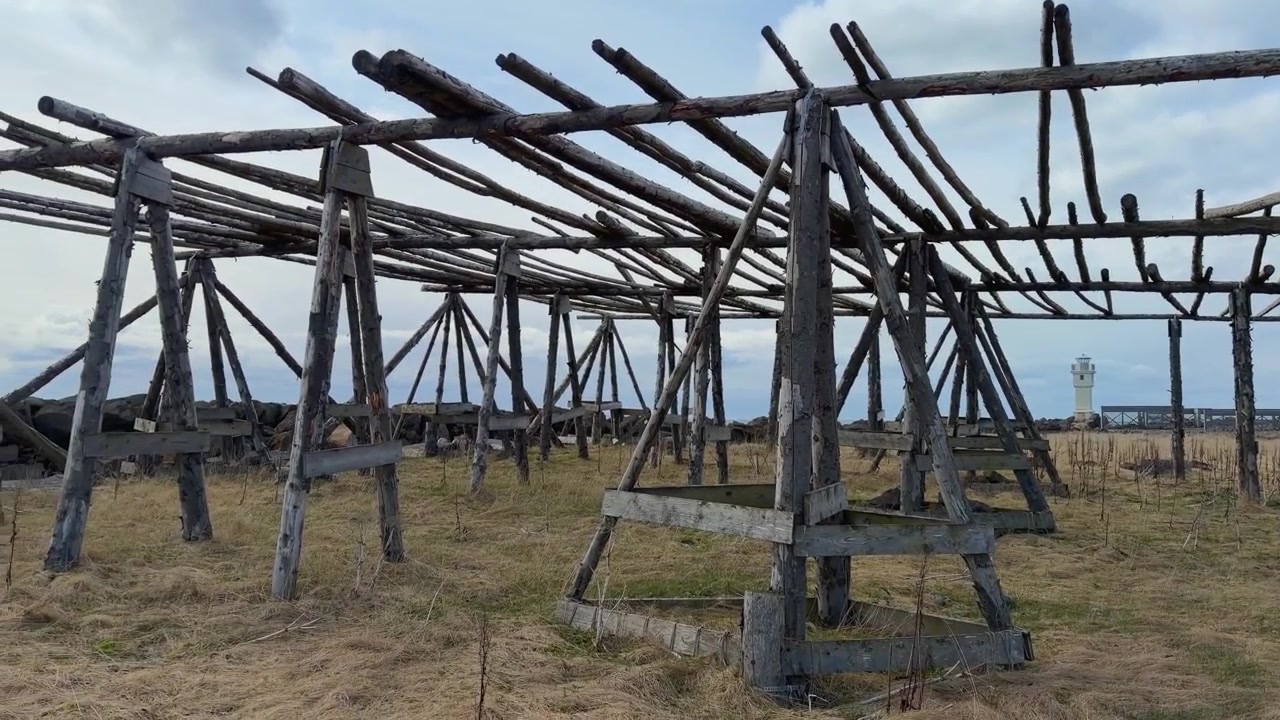 Traditional fish drying racks stand along the rugged coast of Iceland near Akranes, showcasing Iceland's rich fishing heritage in a scenic maritime landscape.