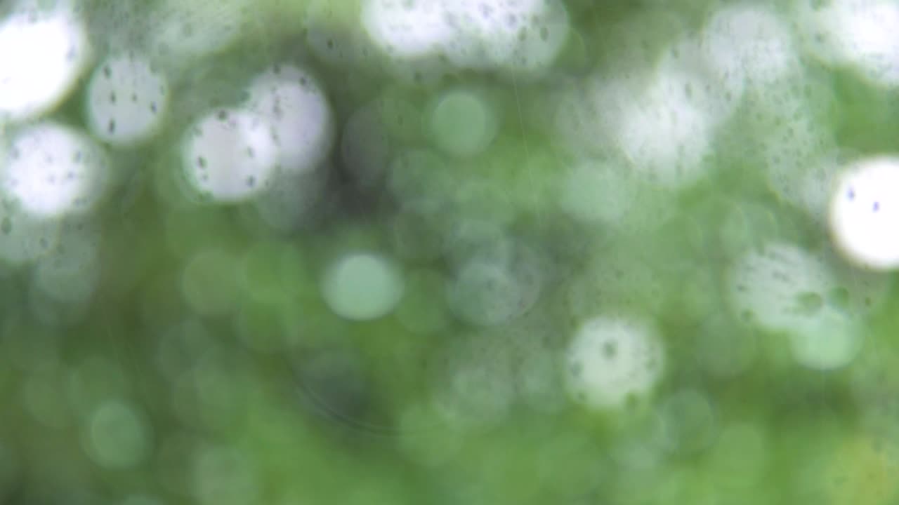 유리 창문 밖에서 비가 내리는 물방울의 클로즈업 - 초록색 배경에 떨어지는 비 물방울.