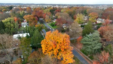 upscale neighborhood in autumn fall foliage