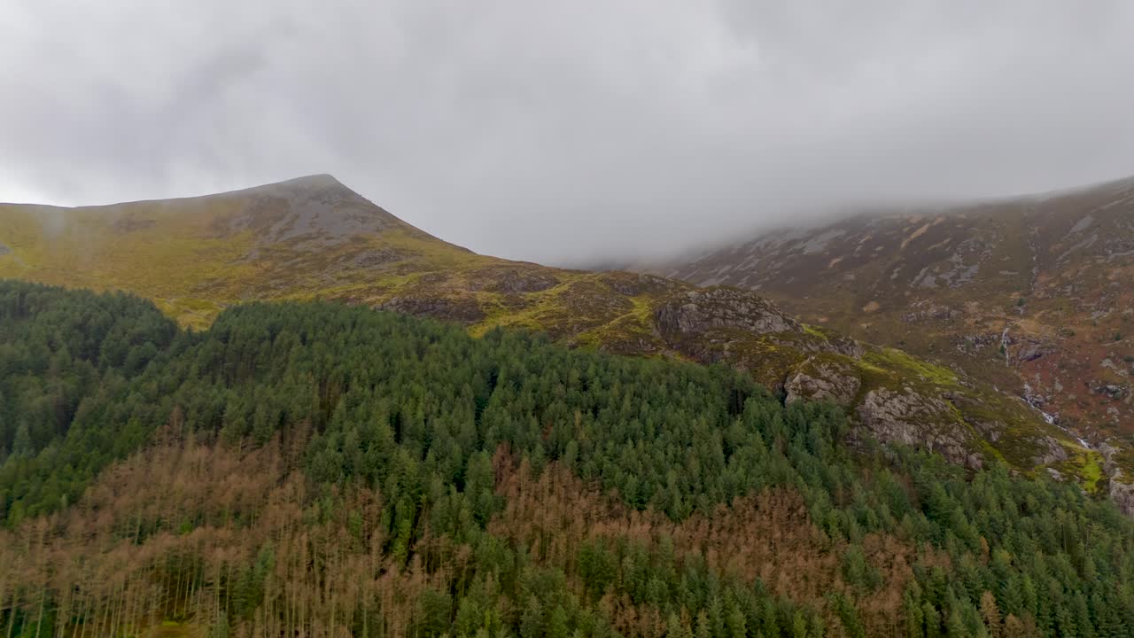12 월 겨울에 산꼭대기와 소나무 숲을 는 구름의 공중 하이퍼 스 스노우도니아, 웨일즈