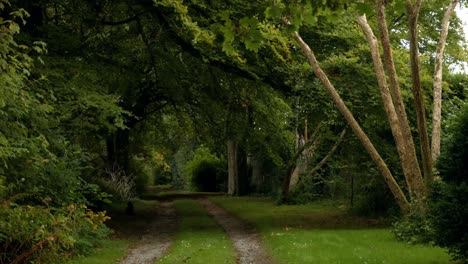 an overview of the garden