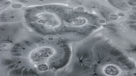 kamloops winter magic: enigmatic ice circles on frozen mcqueen