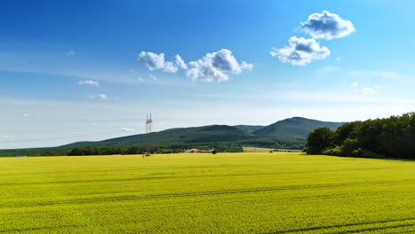 expansive green fields under blue sky. lush green fields stretch towards distant mountains under a bright blue sky adorned with fluffy clouds