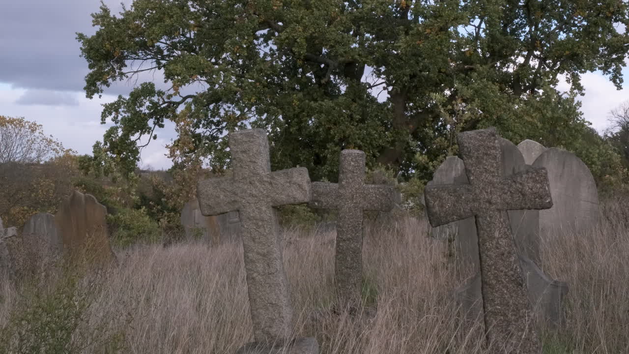 자란 버려진 묘지에 세 개의 십자가 모양의 비석