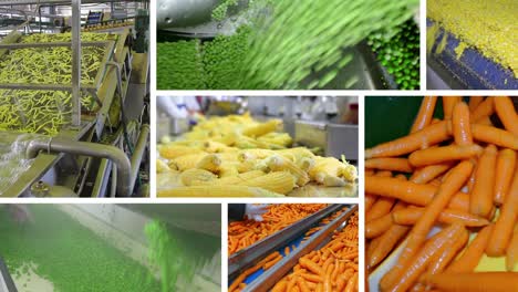 procesamiento de hortalizas en la industria alimentaria, pantalla múltiple