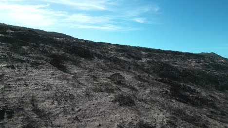 Montaña-Quemada-De-La-Temporada-De-Incendios-De-Verano