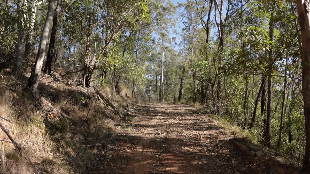 Riprese a mano di sentieri tagliafuoco nel Parco Nazionale di Nerang, Gold Coast, Queensland, Australia