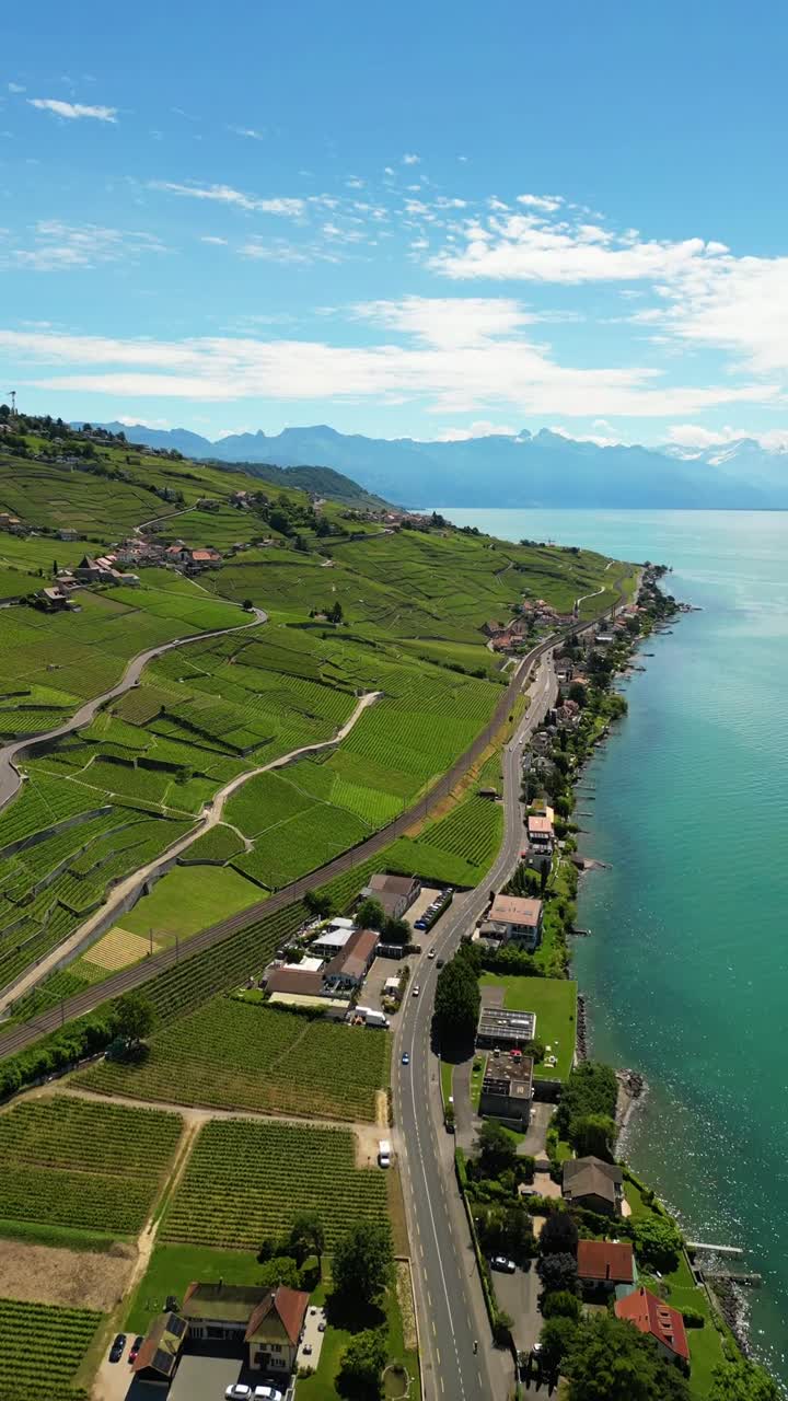 Genèvesjöns strand, Lavaux vingårdsterrass i Schweiz, UNESCO världsarv, flygfoto med drönare