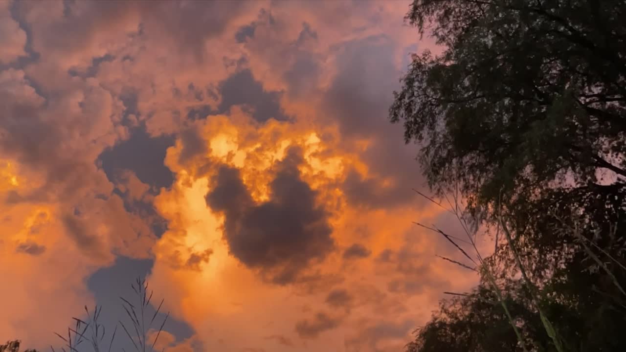 이 하늘을 보면 화성에 있는 것 같아요. 아마 이렇게 될 거라고 확신해요.