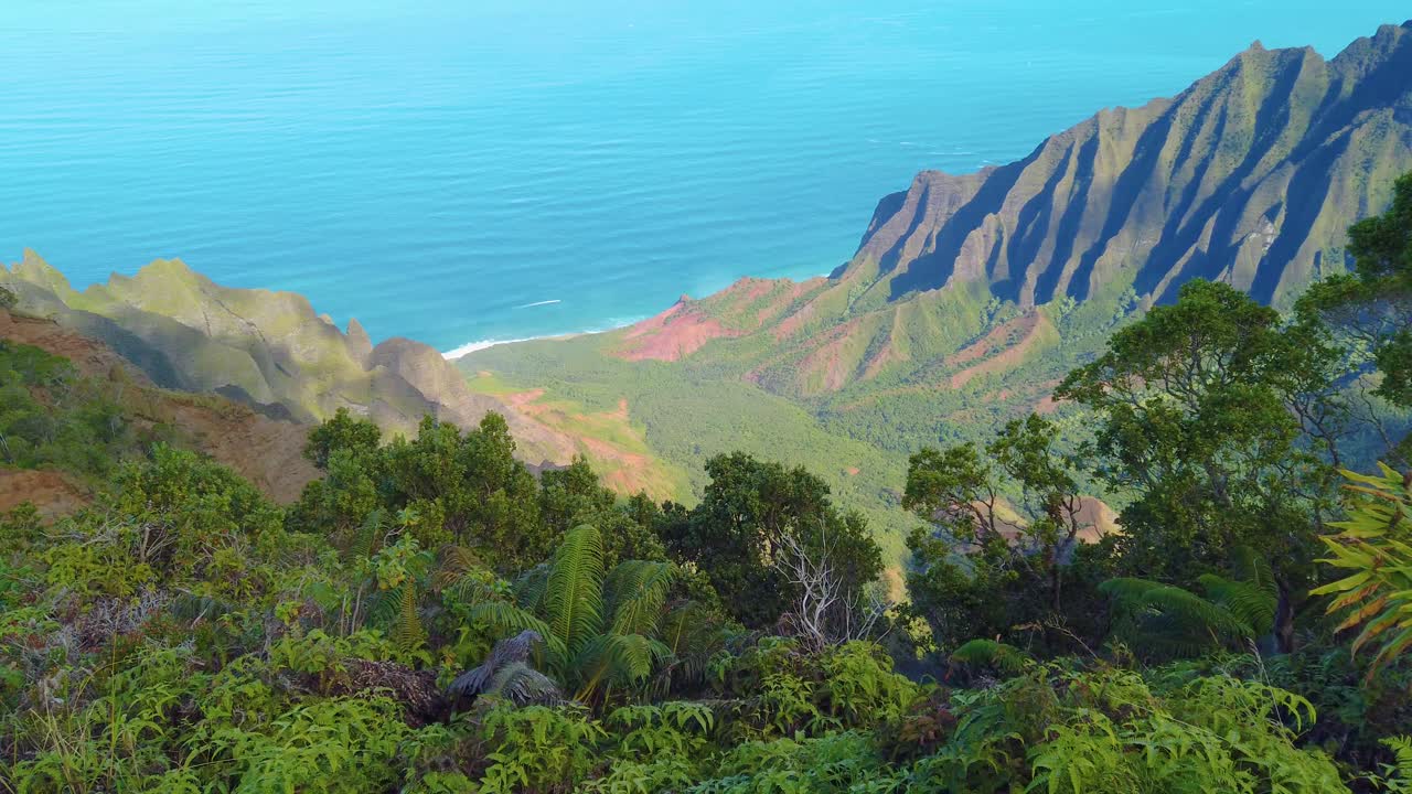 4K Hawaii Kauai elevated static shot of canyon and ocean view from Pu'u Kila Lookout