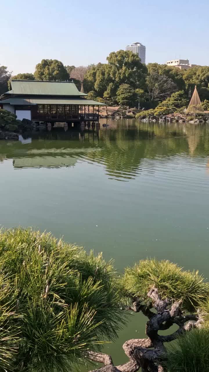 바뀌는 빛과 그림자와 함께 평온한 연못 전망