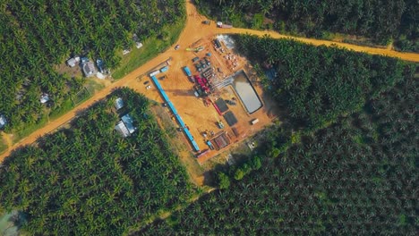 cinematic onshore drilling and workover rig structure and rig equipment for oil exploration and exploitation in the middle of jungle surrounded by palm oil trees during sunset time