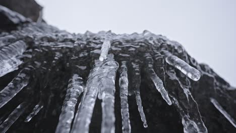 close-up of icicles hanging off a dark rocky surface with a blurred background