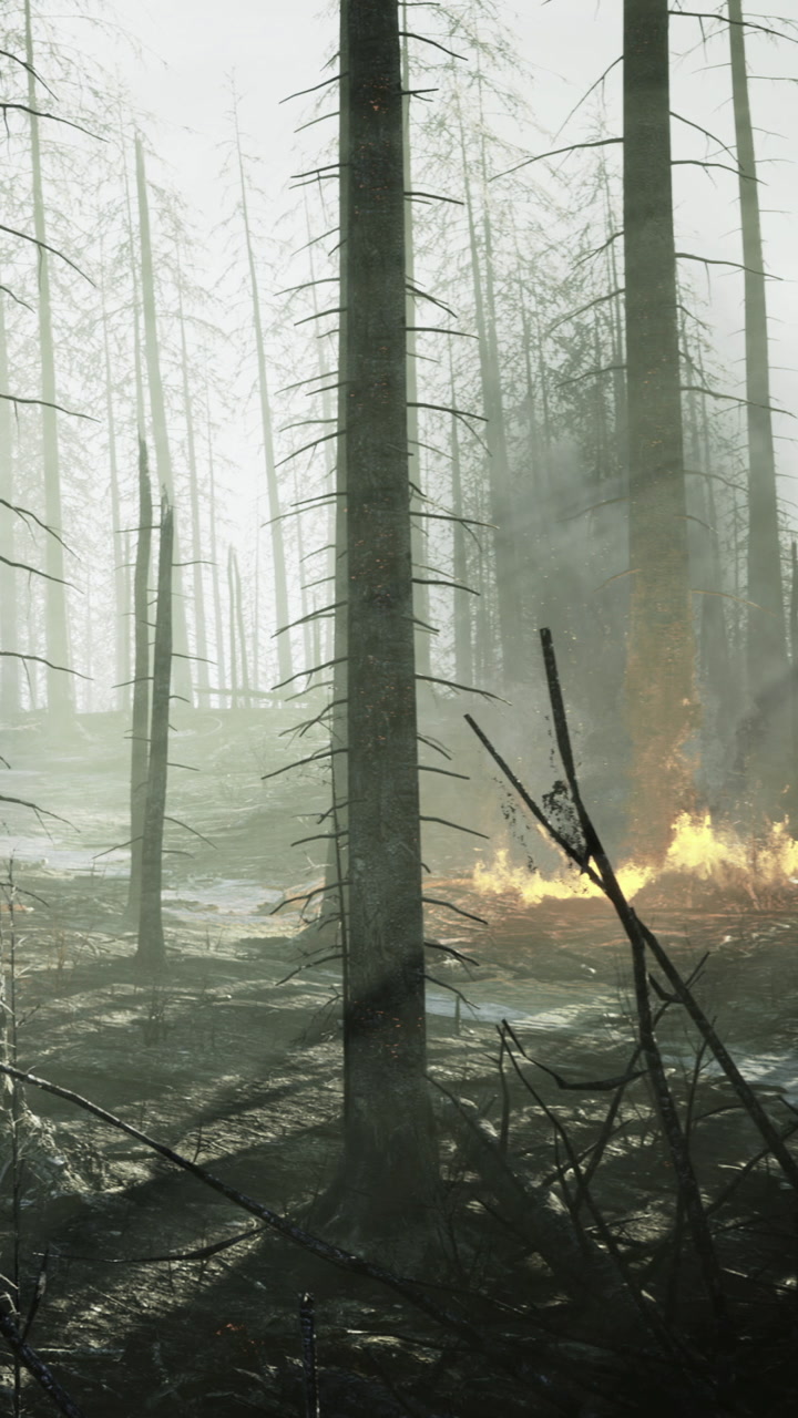 Flames flicker in a desolate forest where tall trees stand like sentinels
