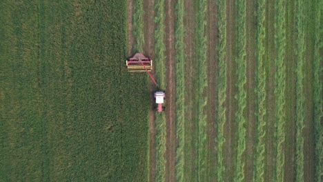 using a hyrdoswing swather, a wisconsin farmer cuts a field of alfalfa and grass