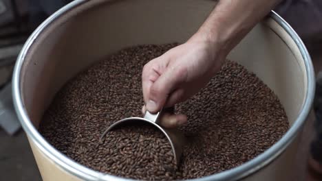 close-up of a barrel of chocolate barley malt as the dark brown grains are being scooped up to make beer