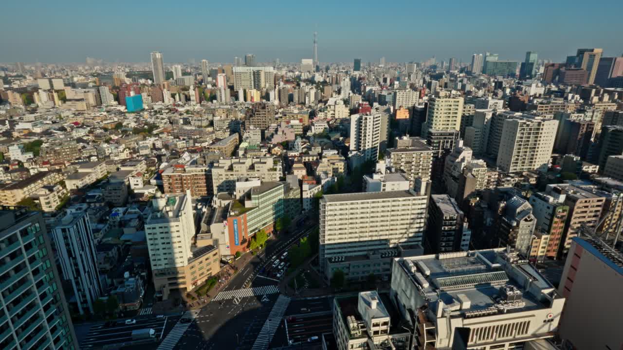 An elevated view of Tokyo's vast cityscape with the iconic Skytree. Buildings, streets, and green spaces unfold under a clear sky.