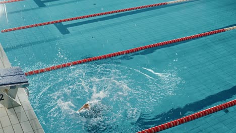 successful male swimmer celebrates new world record and championship win jumping from swimming pool. professional athlete triumph. cinematic light, slow motion with stylish colors, artistic aerial