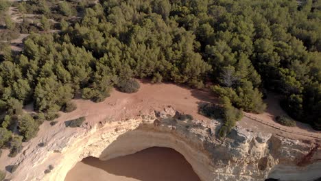 The-beautiful,-lush-green-forest-of-Benagil,-Portugal-by-beach-and-rocky-cliffs---Aerial-shot