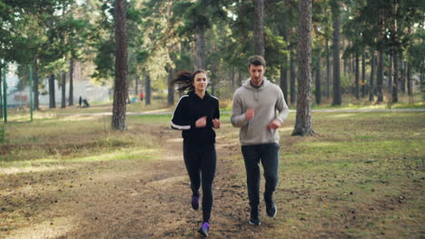pareja corriendo en un parque forestal