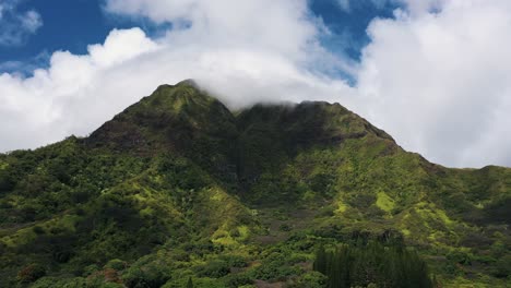 aerial of huge lush green forested mountain in waimano valley, honolulu, sunny day in hawaii