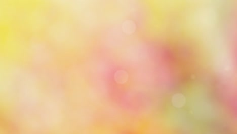 fondo de otoño abstracto con bokeh