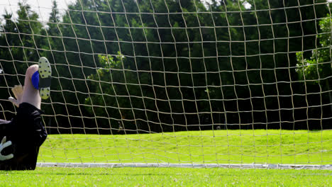 goalkeeper saves a goal in the field