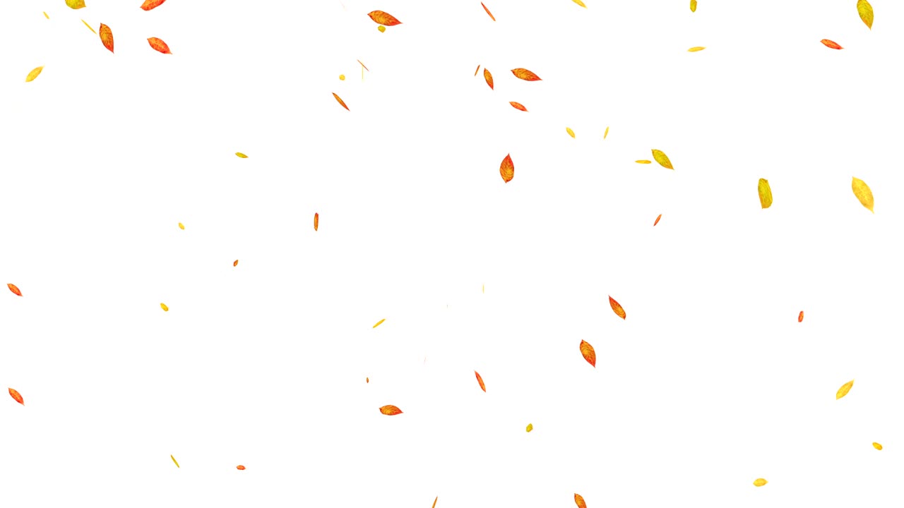 가을 잎이 떨어지는 루프 애니메이션