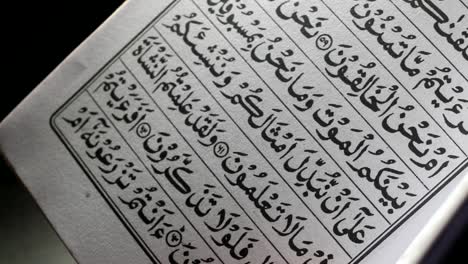 holy quran