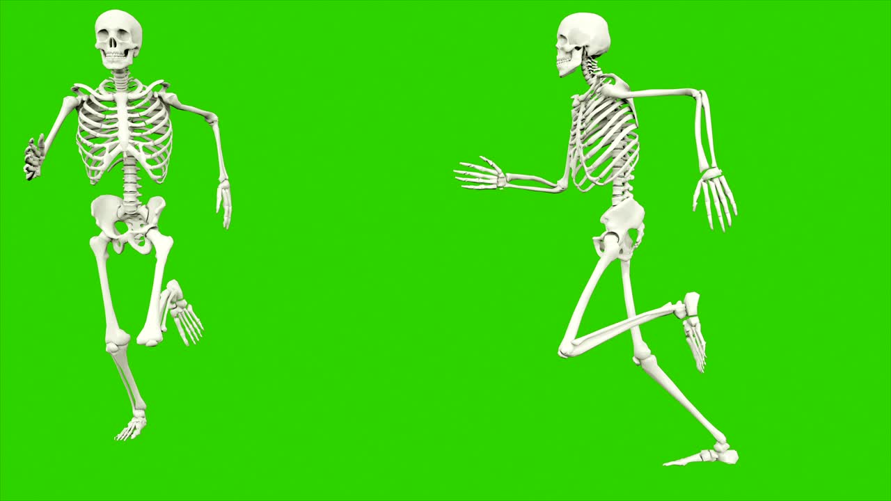 el esqueleto corre. animación de bucle sin costuras en pantalla verde.