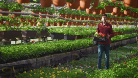gardener walking with basket of flowers in greenhouse