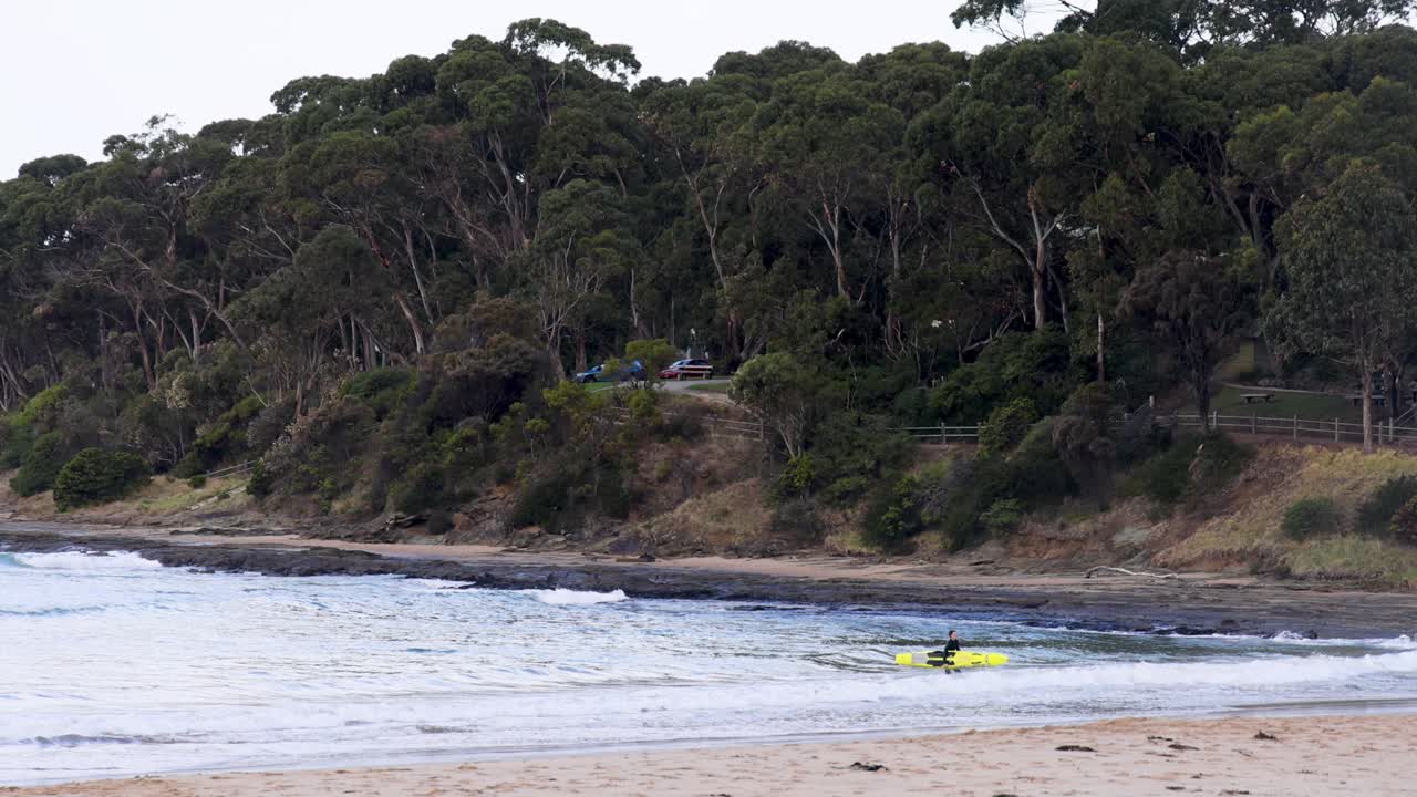 surfista montando olas cerca de la costa boscosa