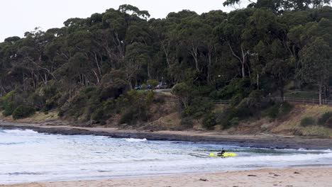 surfer riding waves near forested coastline