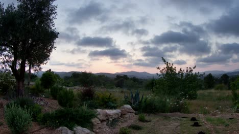 jardín de ibiza 00