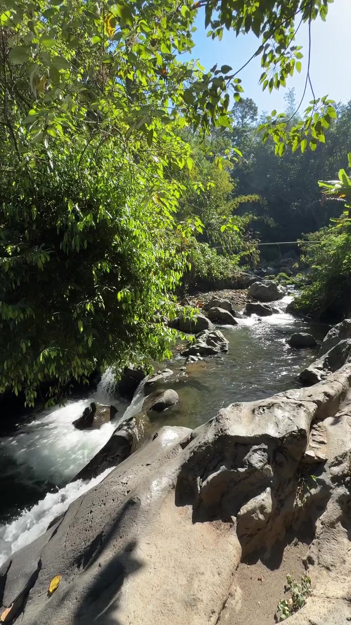 Piccola cascata che scorre sulle rocce in una lussureggiante foresta tropicale